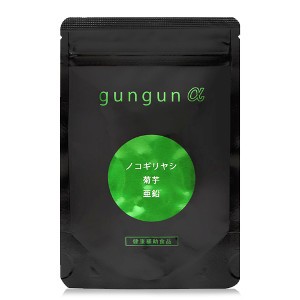 gungun α 90粒 サプリメント ノコギリヤシ 菊芋 亜鉛 松樹皮 アカモク イソフラボン 高麗人参 サプリ 日本製 国産 健康食品 中高年 男性