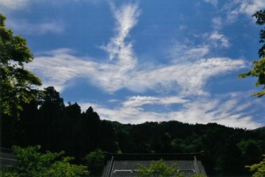 秋元隆良 奇跡の写真 鳳凰・飛来 開運 幸運 画像 写真 開運グッズ 開運フォト 開運写真 縁起物 お祝い事 事務所開き 誕生日 母の日 父の