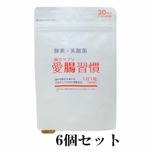 即納・愛腸習慣 30粒×6個セット サプリメント 腸活サプリ 腸活 酵素 米ぬか 乳酸発酵 発酵食品 米ぬか発酵食品 だし造り サバ節 乳酸菌 