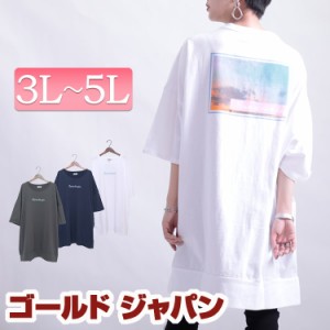 夏新作 大きいサイズ レディース トップス Tシャツ カットソー バックプリントビッグTシャツチュニックワンピース ビックTシャツ バック