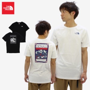 ザ・ノースフェイス(THE NORTH FACE) Mens S/S North Faces Tee  メンズ 半袖 Tシャツ [AA-2]