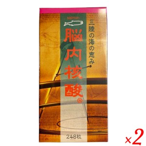 【200円OFFクーポン配布中！】脳内核酸 248粒入り 2個セット 核酸 DHA イチョウ サプリ 毎日元気 研究所 毎日笑顔