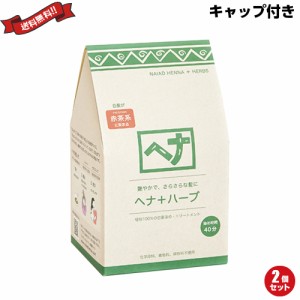 ナイアード ヘナ+ハーブ 徳用400g トリートメントキャップ付き