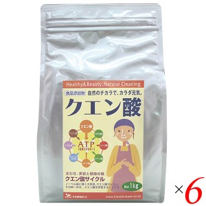 クエン酸 掃除 洗剤 木曽路物産 クエン酸 1kg 6個セット 送料無料