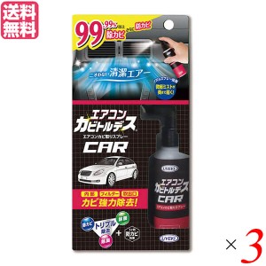 【ポイント倍々！最大+7%】エアコン クリーナー スプレー エアコンカビトルデス車用 80mL 3本セット 送料無料