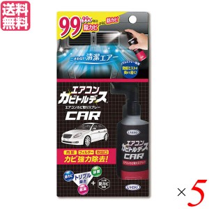 【ポイント倍々！最大+7%】エアコン クリーナー スプレー エアコンカビトルデス車用 80mL 5本セット 送料無料