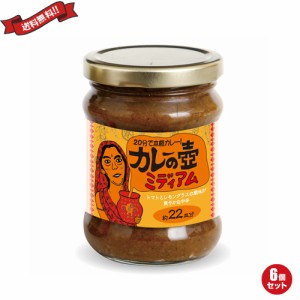 カレー ルー レトルト 第3世界ショップ カレーの壺 ミディアム 220g ６個セット