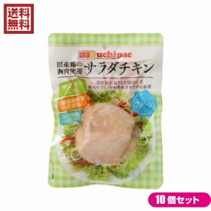 【500円OFFクーポン配布中！】サラダチキン 無添加 国産 ウチノ サラダチキン（プレーン） 100g 10個セット