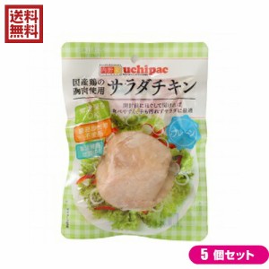 【500円OFFクーポン配布中！】サラダチキン 無添加 国産 ウチノ サラダチキン（プレーン） 100g 5個セット