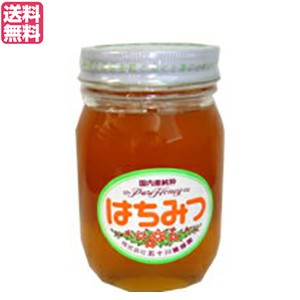 【200円OFFクーポン配布中！】はちみつ 蜂蜜 国産 五十川養蜂園 国産はちみつ 混花 500g 送料無料