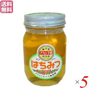 【200円OFFクーポン配布中！】はちみつ 蜂蜜 国産 五十川養蜂園 国産はちみつ アカシア 500g ５個セット 送料無料