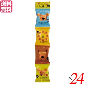 おから お菓子 スナック おとうふ工房いしかわ きらず揚げ しお 20g×4連 24個セット 送料無料