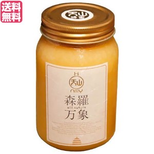 はちみつ ハチミツ ハニー 森羅万象 天山蜂蜜 600g 送料無料