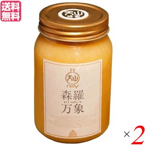 はちみつ ハチミツ ハニー 森羅万象 天山蜂蜜 600g 2個セット 送料無料