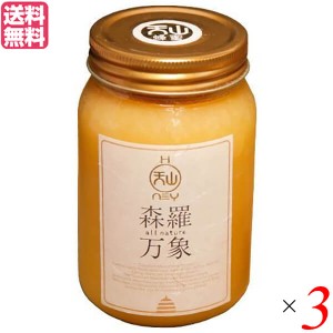 はちみつ ハチミツ ハニー 森羅万象 天山蜂蜜 600g 3個セット 送料無料