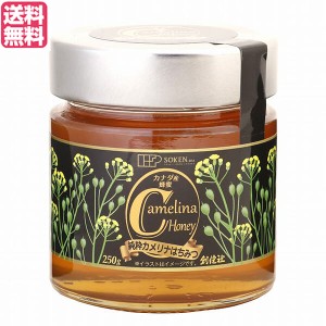 【ポイント倍々！最大+7%】はちみつ 蜂蜜 ハニー 創健社 純粋カメリナはちみつ 250g 送料無料