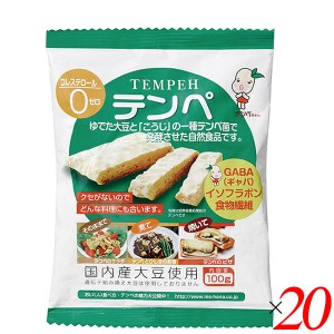 テンペ（レトルト）100g 20個セット マルシン食品 国産 大豆ミート 大豆肉 送料無料