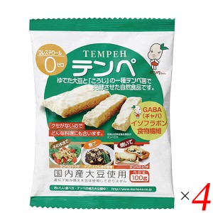 テンペ（レトルト）100g 4個セット マルシン食品 国産 大豆ミート 大豆肉