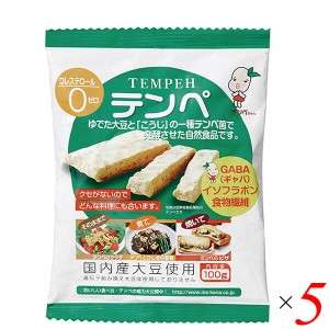 【400円OFFクーポン配布中！】テンペ（レトルト）100g 5個セット マルシン食品 国産 大豆ミート 大豆肉