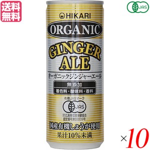 【200円OFFクーポン配布中！】ジンジャーエール 缶 辛口 ヒカリ オーガニックジンジャーエール 250ml １０本セット