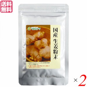 生姜パウダー 生姜 国産 マルシマ 国産生姜粉末 20g ２袋セット 送料無料