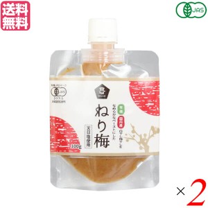 【ポイント倍々！最大+7%】ねり梅 練り梅 無添加 ムソー 有機ねり梅 100g ２個セット 送料無料