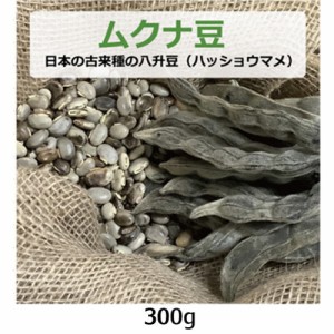 ムクナ豆 （日本の古来種の八升豆） 300g （ハッショウマメ） 【ゆうパケット送料無料】 【健康サポート農園】