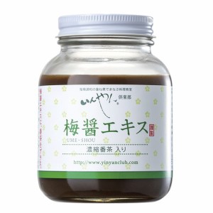 梅醤エキス 濃縮番茶入り 250g 【いんやん倶楽部】【あす着対応】