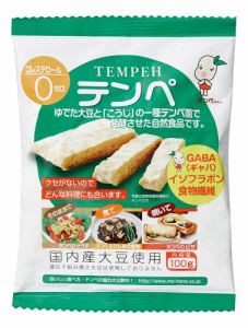 【まとめ買い価格】テンペ（レトルト）100g×10袋セット 【マルシン食品】