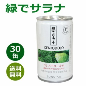 緑でサラナ 160g×30缶 ※全国送料無料【あす着対応】※同梱・キャンセル・ラッピング不可【サンスター】