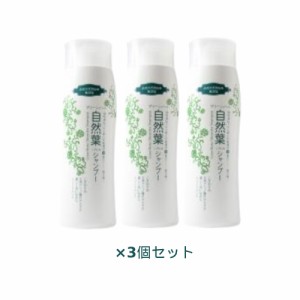 グリーンノート 自然葉 シャンプー 300ml×3本セット+青パパイヤー酵素食品2袋付（ノンシリコン 無添加）【あす着対応】