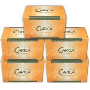 カリカセラピ PS501　ファミリーパック（100袋）　5箱セット+50袋+乳酸菌生成エキス５箱