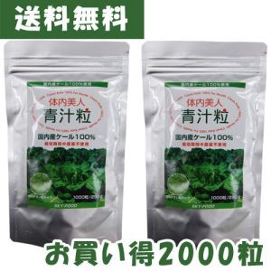 体内美人 青汁粒（1000粒×2袋）【スカイ・フード】※送料無料（一部地域を除く）【あす着対応】※賞味期限24年09月01日まで在庫限り