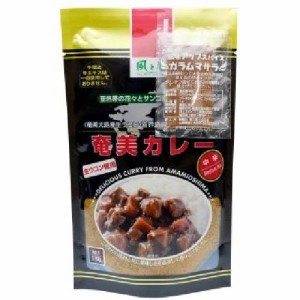 奄美カレー 中辛 180g 【風と光】