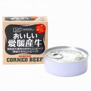 愛媛産牛 無塩せきコンビーフ （80g） 【創健社】