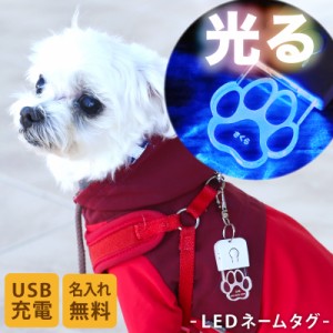 ペットタグ ペット 迷子札 名入れ  LED迷子札 ledライト キーホルダー ネームタグ 犬 猫 いぬ ねこ 首輪 ハーネス チャーム アクリル ネ