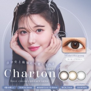 【メール便送料無料】シャルトンワンデーモイスティン【1箱10枚】Charton 1DAY moistin  ワンデー カラコン 度あり ワンデー カラコン ワ