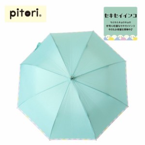 Pittori(ピットリ) 婦人用雨傘　セキセイインコ柄☆雨傘・長傘☆