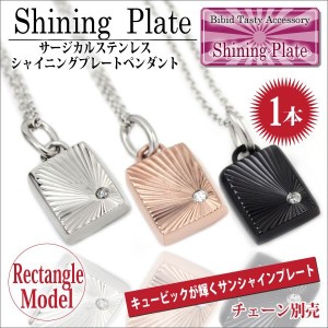 ステンレス キュービックジルコニア シャインプレート ペンダント ネックレス 長方形モデル 単品 廃番 サージカルステンレス