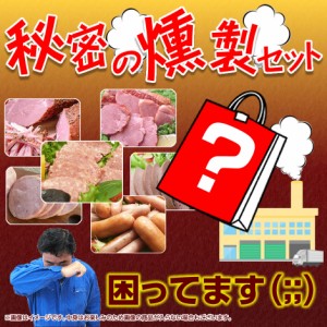 秘密の燻製セット 冷凍 訳あり 福袋  送料無料 ※一部地域は別途送料追加