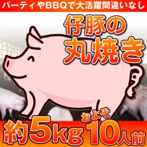 予約商品 子豚の丸焼き5kg 仔豚 こぶた バーベキュー 豚肉 BBQ 送料無料 ※一部地域は別途送料追加