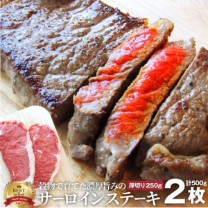 肉  ギフト 2021 ＜贅沢な厚切り2枚セット＞サーロイン ステーキ 2枚 （ソース付き）厚切り 250g×2枚 リッチな 赤身 贅沢 牛肉 送料無料