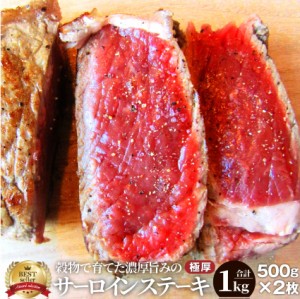 肉 母の日 父の日 新生活 ギフト 食べ物 食品 プレゼント 女性 男性 人気 お祝い ＜驚愕のサイズ＞極厚 サーロイン メガ ステーキ500g 2