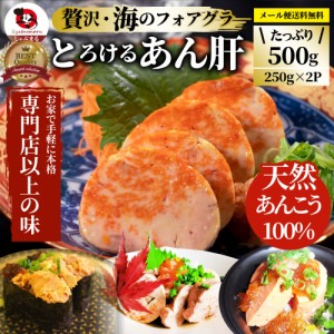 おつまみ 珍味 あん肝 500g(250g×2) あんきも 酒 酒のつまみ 酒のアテ 肴 家飲み 一品 付き出し お取り寄せ メール便送料無料 お肉の し