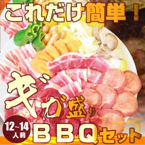 バーベキューギガ盛りセット 福袋 【野菜付き・チルド】 これだけ便利 野菜付 たっぷり12〜14人前 焼くだけ送料無料 チルド商品 弁当 お