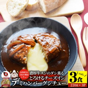 チーズインデミハンバーグシチュー 220g×3食セット チーズイン ハンバーグ 肉 牛肉  母の日 父の日 新生活 ギフト 食品 お祝い デミグラ