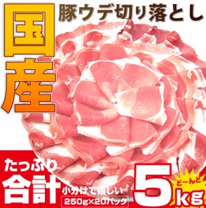 豚ウデ切り落とし5kg (250g×20パック） 便利な小分け 国産 豚肉 ウデ うで 切り落とし 切り落し 炒め物 冷凍 ＊当日発送対象 お肉の し