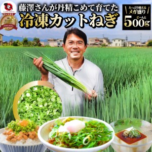 カットねぎ 500g ねぎ ネギ 藤澤さん家のカットねぎ 葱 冷凍 とれたてネギ 香川県産 冷凍野菜 時短 料理 簡単調理 包丁いらず お肉の し