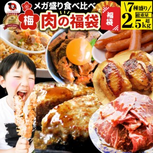 肉 福袋 肉の福袋 「梅福袋」牛肉 食品 メガ盛り 総重量2.5kg超 焼くだけ＆レンジで簡単調理！ランキング1位＆人気のお肉豪華セット 焼肉