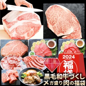 2024 肉の福袋 ルビー 食品 ステーキ 黒毛和牛 ルビー メガ盛り 総重量1.93kg（8種 食べ比べ）完全赤字の肉袋！ 福袋 牛肉 焼肉ステーキ 